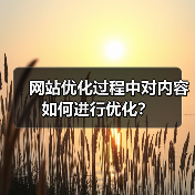 网站优化过程中对内容如何进行优化？（图1）