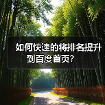 如何快速的将排名提升到百度首页？（图4）