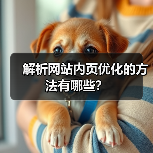 解析网站内页优化的方法有哪些？（图4）