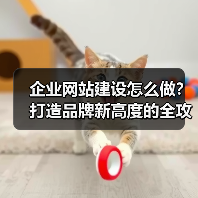 企业网站建设怎么做？打造品牌新高度的全攻略（图2）