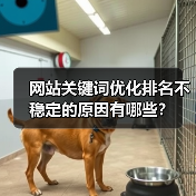 网站关键词优化排名不稳定的原因有哪些？（图3）