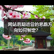 网站后期运营的思路方向如何制定？（图3）