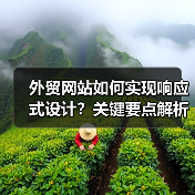 外贸网站如何实现响应式设计？关键要点解析（图2）