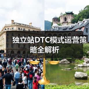 独立站DTC模式运营策略全解析（图1）
