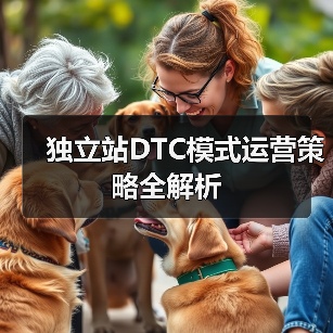 独立站DTC模式运营策略全解析（图2）