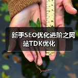 新手SEO优化进阶之网站TDK优化（图4）