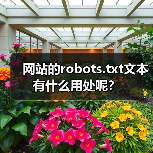 网站的robots.txt文本有什么用处呢？（图3）