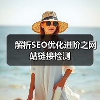 解析SEO优化进阶之网站链接检测(图1) 解析SEO优化进阶之网站链接检测(图1)