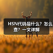 HSN代码是什么？怎么查？一文详解（图4）