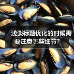 浅谈标题优化的时候需要注意哪些细节?（图2）